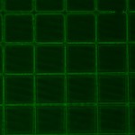 8_20x_1