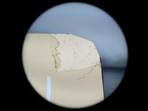 IMG_2522