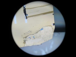 IMG_2523