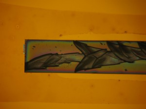 IMG_2658