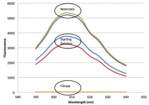 Fluorescence of starting solution, retentate and filtrate.