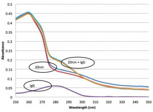 Comparison of absorbance between IgG and 20 nm red fluorospheres