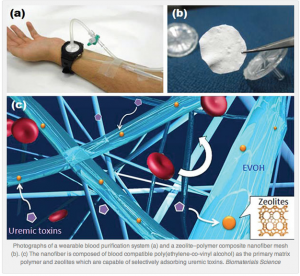 Nanofiber zeolites