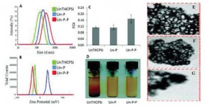 Nanocomposites for cancer therapy Shabizi and Santos