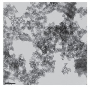 FACILE SYNTHESIS OF HIGHLY LUMINESCENT CORE-SHELL POROUS SILICON/SILICON OXIDE NANOPARTICLES J. JOO1, J. F. CRUZ1, AND M. J. SAILOR1 ~12 nm diameter
