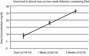 Urea levels (n=3, absorbance: 570 nm)