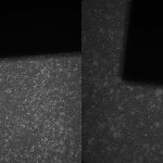 biocompatibility of platinum chloride electrode