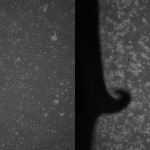 biocompatibility of silver chloride electrode