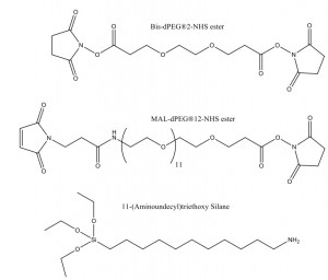 Molecules used in surface treatment study