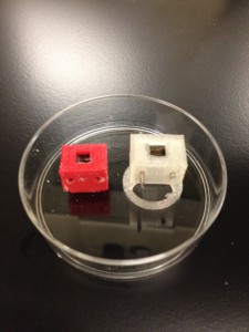 Transwells were printed with natural and red PLA