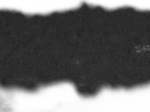 100 nm NPs on 1081
