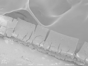 20 nm NPs on wafer 1081