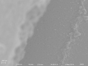20 nm NPs on 1081