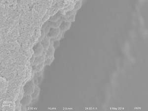 20 nm NPs on 1081