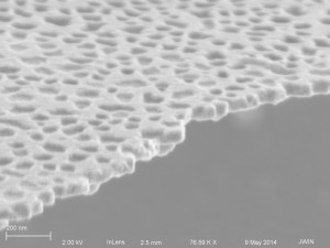 1081 water/PBS (surfactant?)
