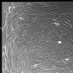05lp_m2_1-140