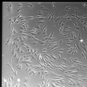 05lp_m2_1-48
