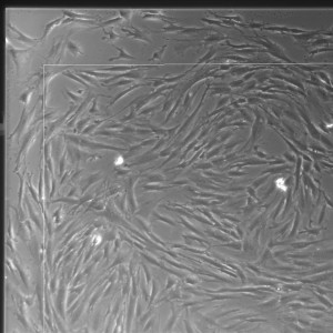 05lp_m2_1-72