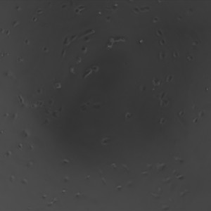 1.5_2a