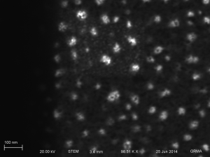 100000x STEM of occluded pores