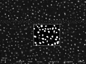 STEM of unetched film. Playing with the contrast can really affect the apparent pore diameter.