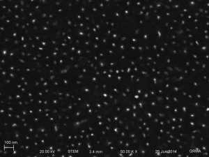 STEM of 1126 + 50nm MgF2 (unetched). Pores are present, but are probably occluded. to some degree.