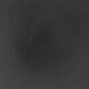 1_5_3a