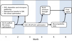 NSF_SBIR plan