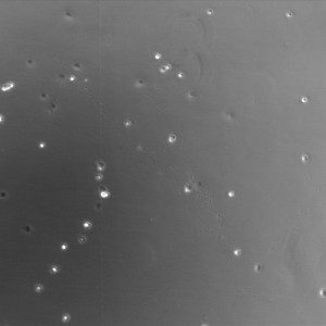 tcp_2_2_phase