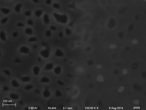 2mg_ml lipid 40nm 02