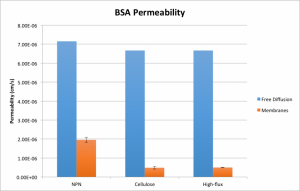 BSAPermeability