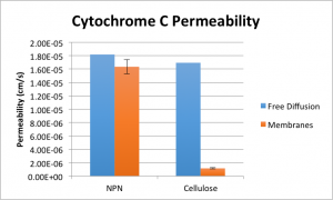 CytCPermeabilityLittVals