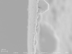 FC cross section (top is left)