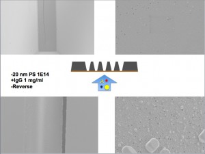 Screen Shot 2014-08-19 at 9.45.05 PM