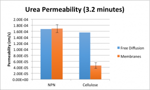 UreaPermeability12secmore