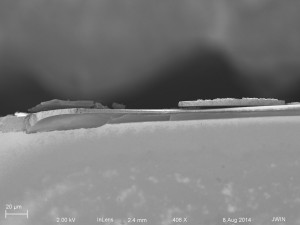 cross section