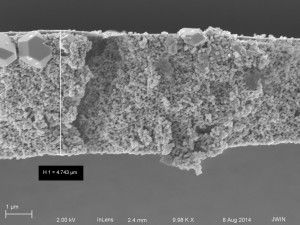 cross section