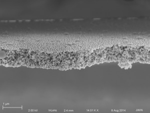 cross section