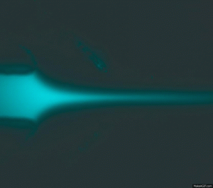 microfluidics