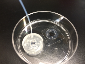 PDMS formed from mold on top of base device