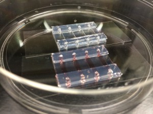 Fabricated microchannels