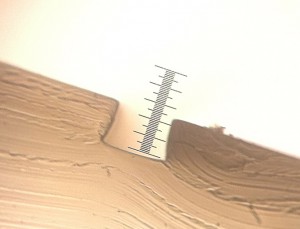 photo 3 copy