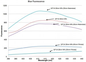 20 nm NPs
