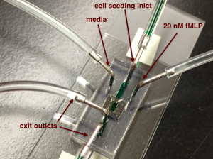 [UniT] full_device_view_labeled