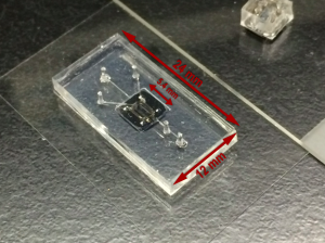 quick_device_view
