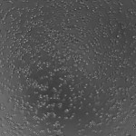 1H1_4 (1)