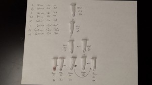 20141217_180933