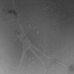 22H2_4 (24)