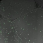 24HA2_4 (24)