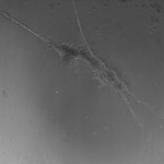 25H1_4 (28)